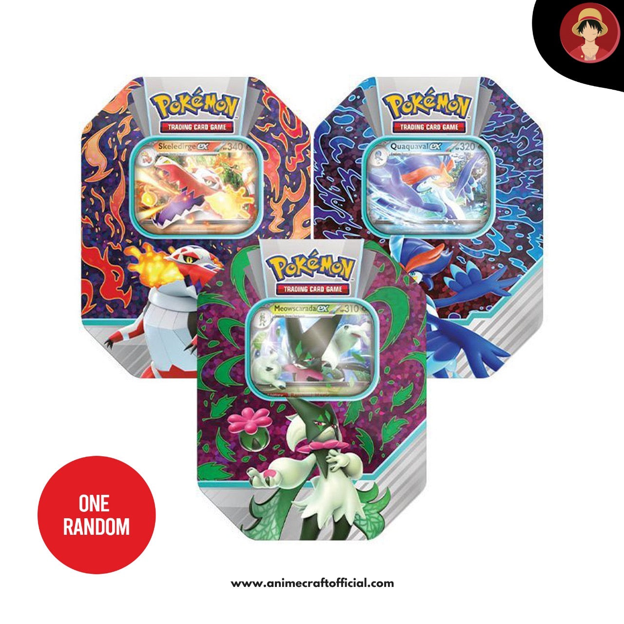 Pokémon TCG – Paldea Partners Tin (Fall 2023) – Assorted (Includes 1 Tin)